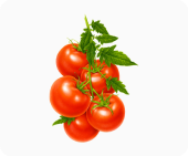 tomato